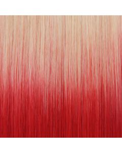 Ombre #613/red