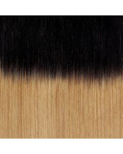 Ombre #1b/18